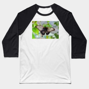 Common Mormon Butterfly - Papilio Polytes Baseball T-Shirt